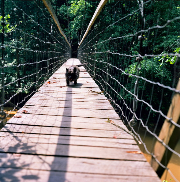 RRG - 03 - Sally in Bridge.jpg